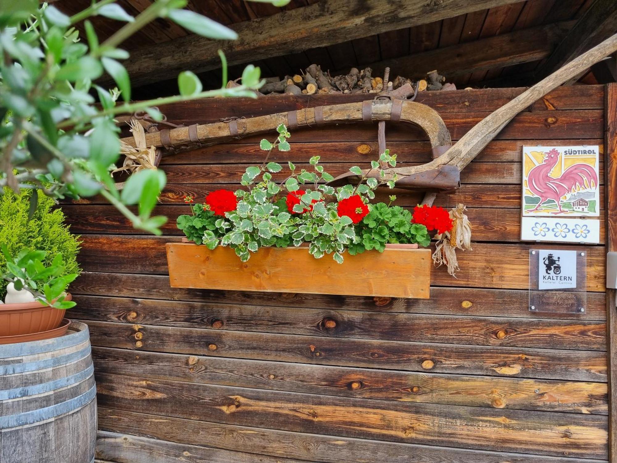 Urlaub Auf Dem Bauernhof Schmidhof - Grosse Terrasse, Pool Und Beste Lage Caldaro Exterior photo